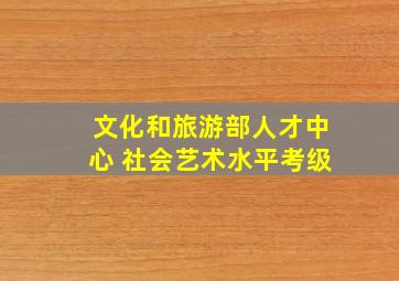 文化和旅游部人才中心 社会艺术水平考级